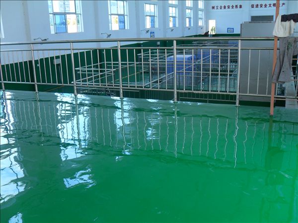 環氧樹脂自流平地坪9